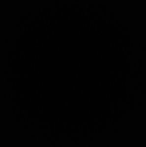 Meet your Posher, Roy